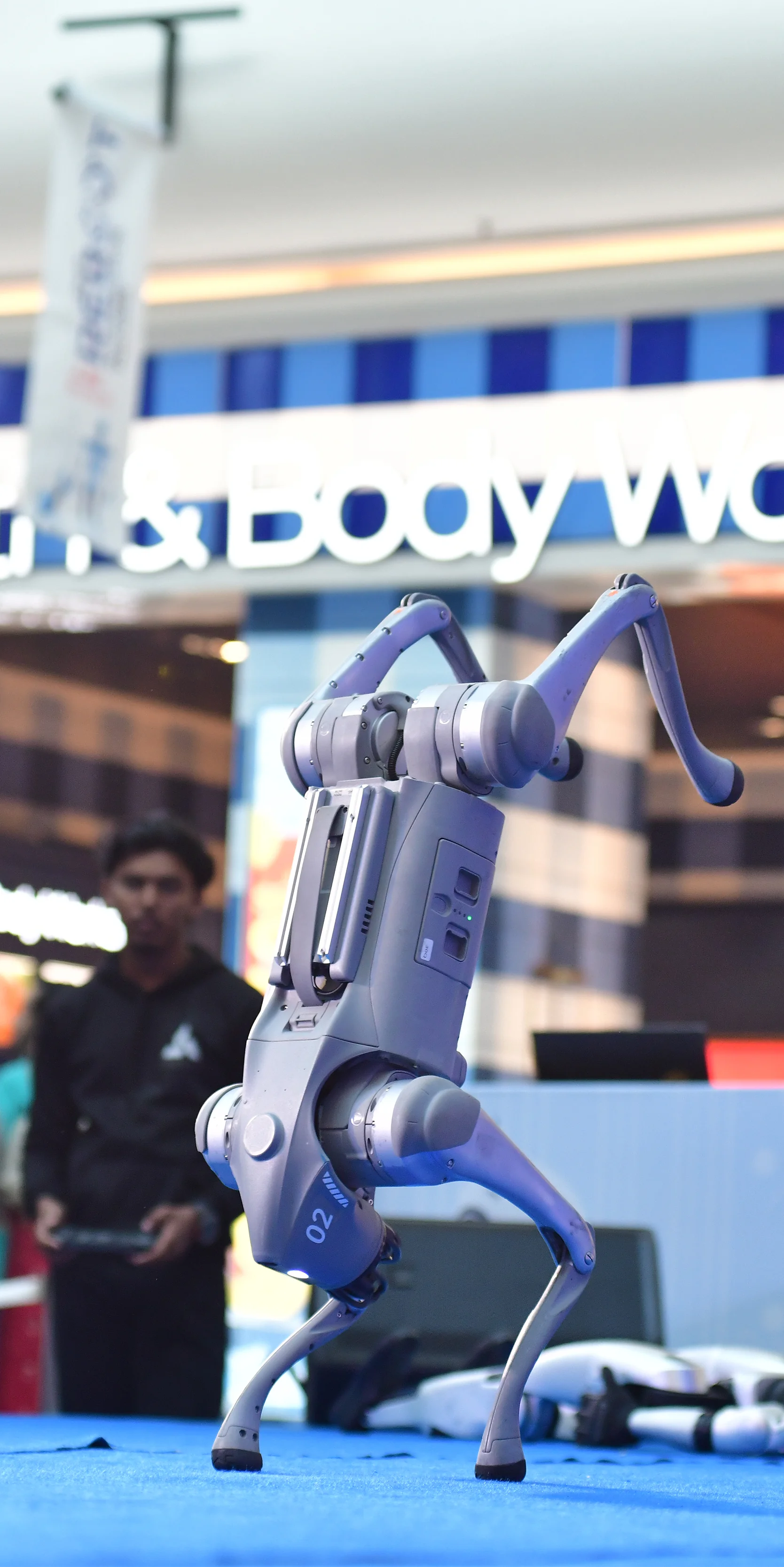 Robot demonstration